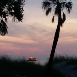 Meet your Posher, Angelica